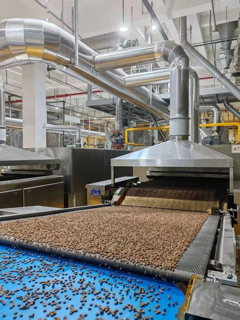 Cat food production line for South Africa cat category planning